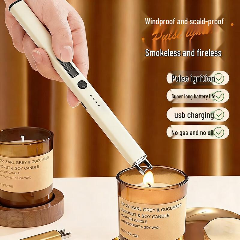 PINYU Electronic Pulse Lighter
