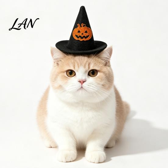 Cosplay Headgear for Dogs Pet Halloween Witch Hat, Bows/Pumpkins Decor, Adjustable Felt Pumpkin Bat Ghost Costume Accessory, Lightweight Comfortable
