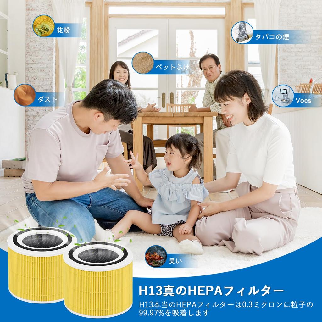 Core 300S 300 P350 Compatible Replacement Filter 2 Pack Enhanced Dust Odor Pet Hair Air Purifier Filter