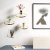Simple Glass Ledges Decoration Home Teen Living Room Bedroom Wall Decor Shelve Plant Flower Pot Rack  Decorative