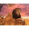 New 5D DIY Animal Diamond Painting Lion Diamond Embroidery Sunset Cross Stitch Full Round Drill Home Decor Manual Gift