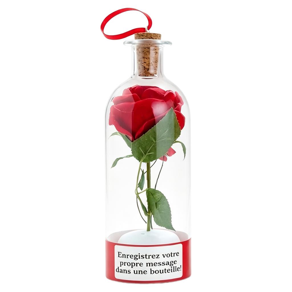 Christmas Message in A Bottle with Playback Voice Message Keepsake Home Display Sentimental Gifts for Recording Holiday Sound