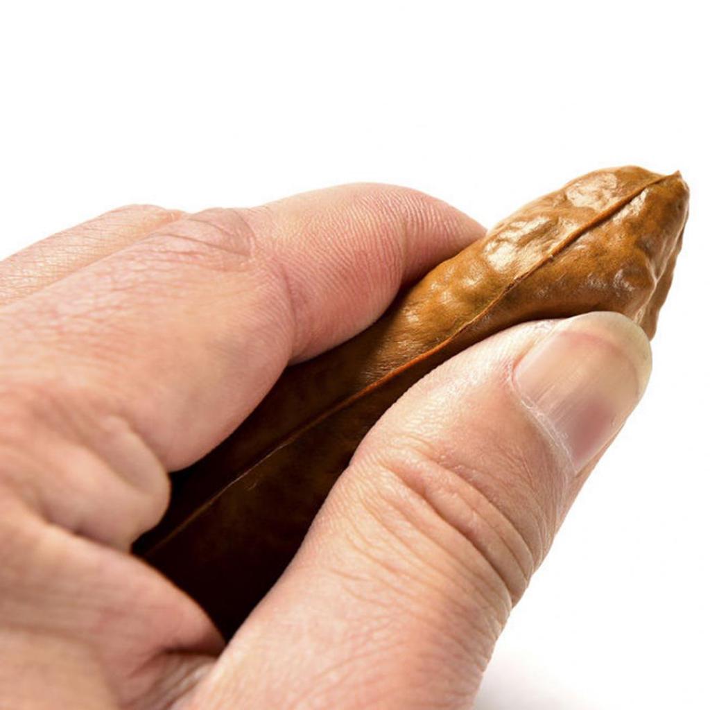 Simulation Poop Fly Cockroach Funny Joke Tricky Decompression Toy Kids Adult Gift