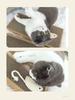 Sisal Corrugated Paper Cat Scratcher Rectangular Mouse Pattern Pet Claw Grinding Pad Kitten Self Play Toy For Indoor Household