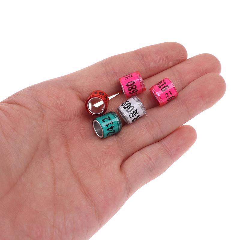 20 Pcs Pigeon Foot Ring With Word Earrings 2021 Multicolor Bird Tools