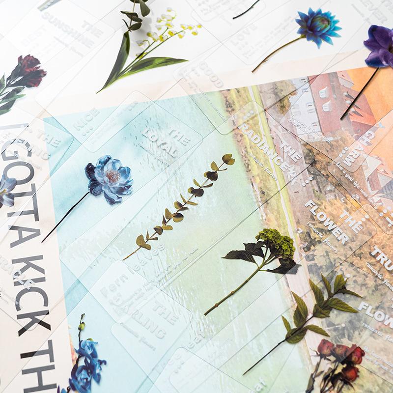 6 Stück Pflanzen Flüstern PVC Lesezeichen Set Natur Pflanzen Blumen Transparent Markierer Seite Notizhalter Schule Lesen Geschenk
