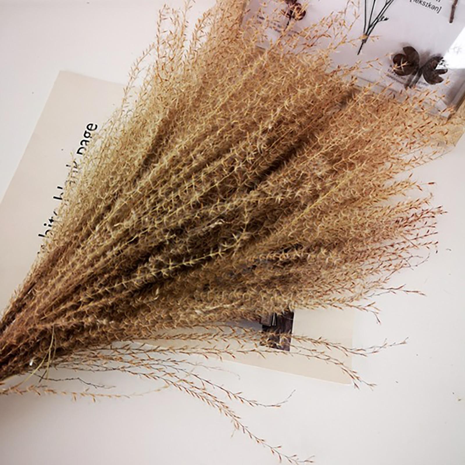 Искусственная сушеная пампасная трава пластиковая имитация тростника для свадебного украшения дома Type 2