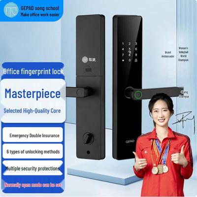 GEPAI P08 Fingerprint Smart Lock with Attendance System CN Plug (adapter Included)