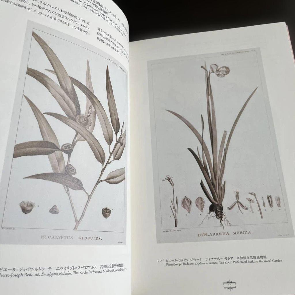 [USED] Pierre-Joseph Redouté's Fairest Flowers