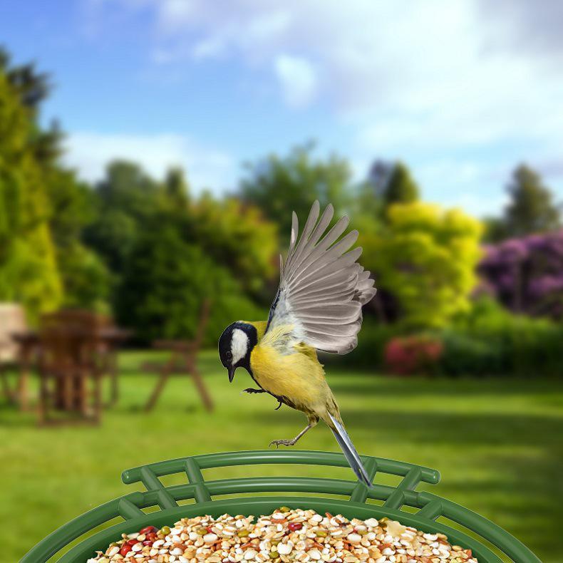 Smart Solar-Powered Bird Feeder with AI Camera & Waterproof Battery for WiFi Connectivity