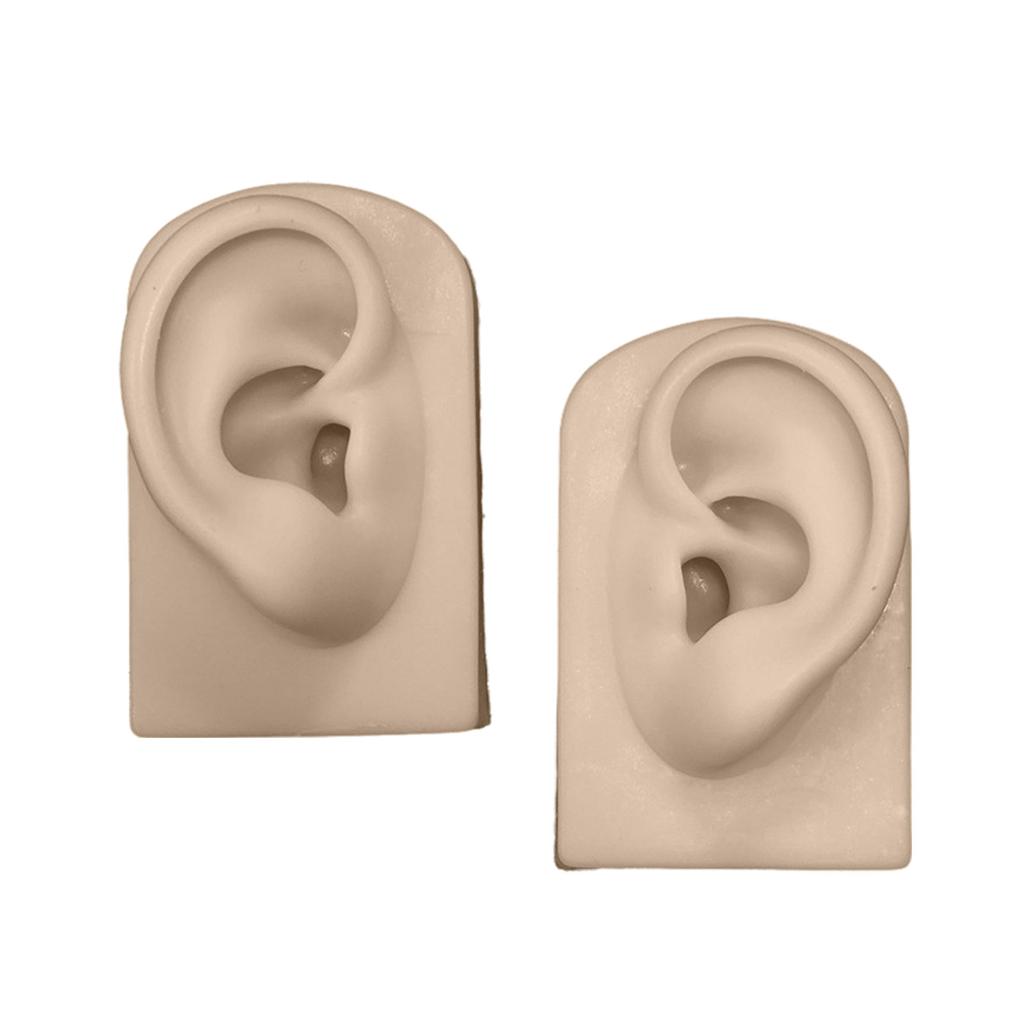 Silicone Ear Model for Piercing Practice and Jewelry Display Realistic Left and Right Human Ear Simulation Ears Replicas