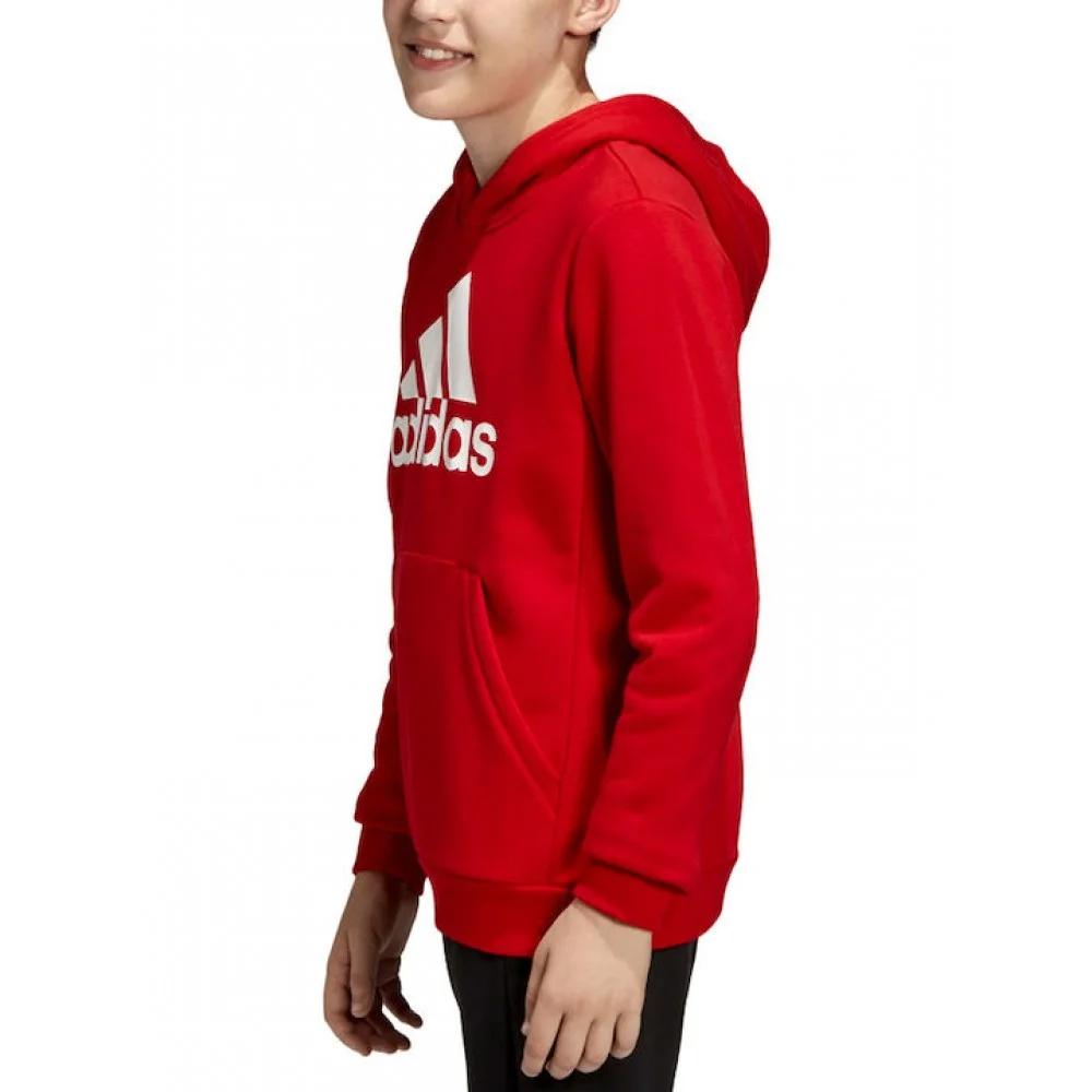 adidas Grade School Sweatshirts Hooded Moderate ED6494