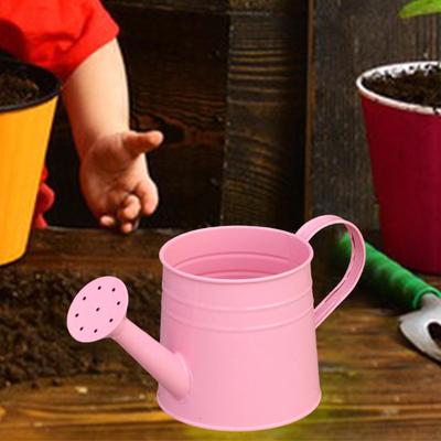 Garden Watering Can, Multipurpose, Decorative, , for Indoor, Patio And Outdoor Use.