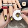 Cat Eye Nail Art Magnet Tool: Automatic Glass Bead Suction for Beginners with Wide Light and Super Strong Magnet