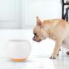 Hračka pro krmení mazlíčků Tumbler Malí psi Kočka Miska na pomalé jídlo Miska na vodu Potřeby pro mazlíčky Oranžová