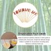 Disposable Bamboo Toothpick Picks Bamboo Knot Skewers Cocktail Toothpick  Cocktail Party