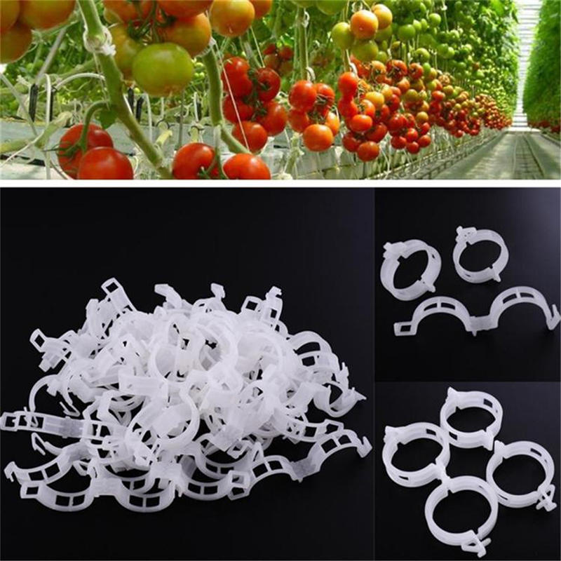 100PCS Garden Plant Flowers Tied Bundle Branch Clamp Clip Class Tools Flowers Vegetables Vine
