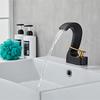TLXT Black Swan Waterfall Basin Faucet