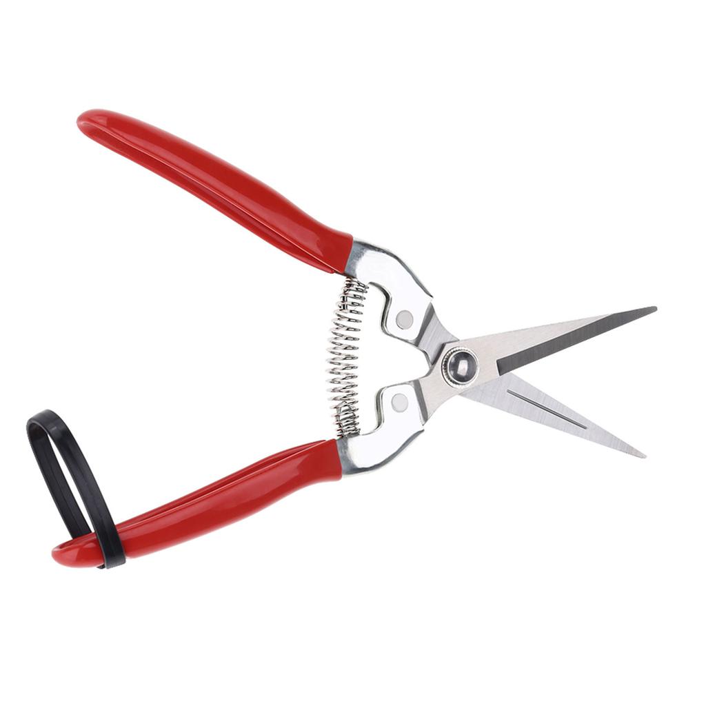 1Pc Sturdy Fruit Tree Bonsai Gardening Pruning Shear Garden Scissors Pruner Tool Straight Blade