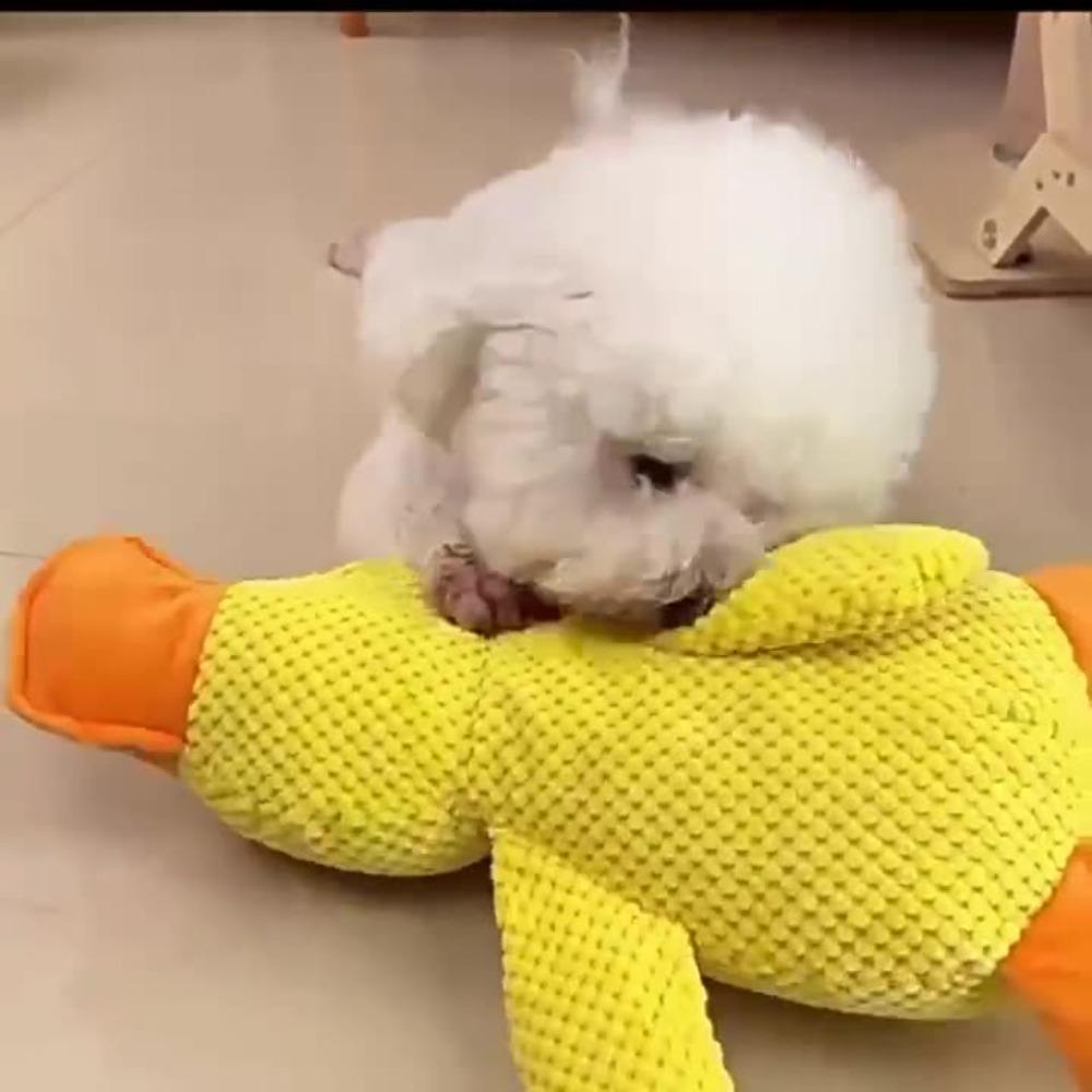 New Dog Toy Plush Companion Sleeping Duck Bite-Resistant Grinding Sound Relief Duck Sound Pet Toy