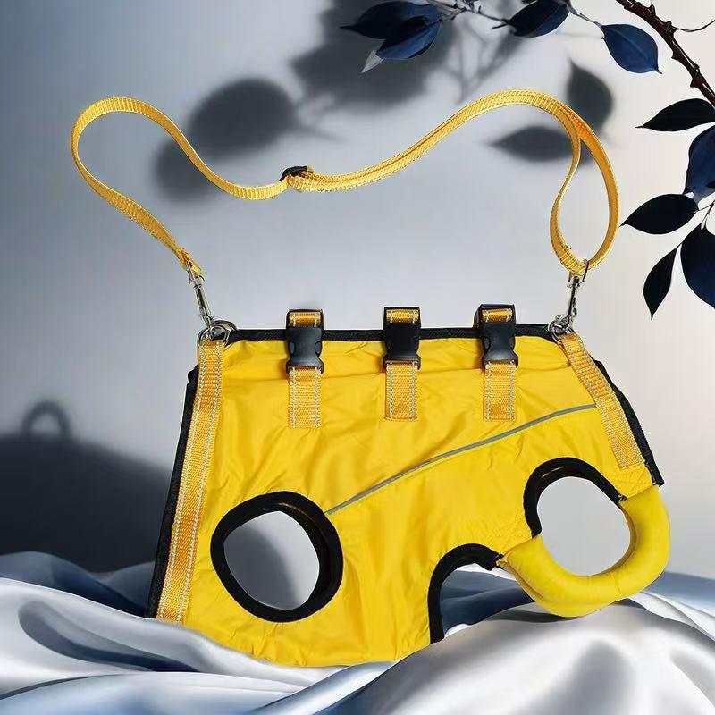 Pas wspierający tylną nogę starszego psa: Pomoc w poruszaniu się dla psów słabych lub kontuzjowanych