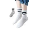 Pure Cotton Mesh Children's Socks - Summer Style for Boys & Girls, Solid Color, Perfect for Spring & Autumn Sports