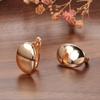 Pendientes de oro rosa brillante ovalados con hebilla, personalidad de moda europea y americana, oreja pequeña de estilo coreano