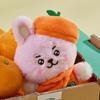 BT21 Baby Orange Party Kleine Puppe