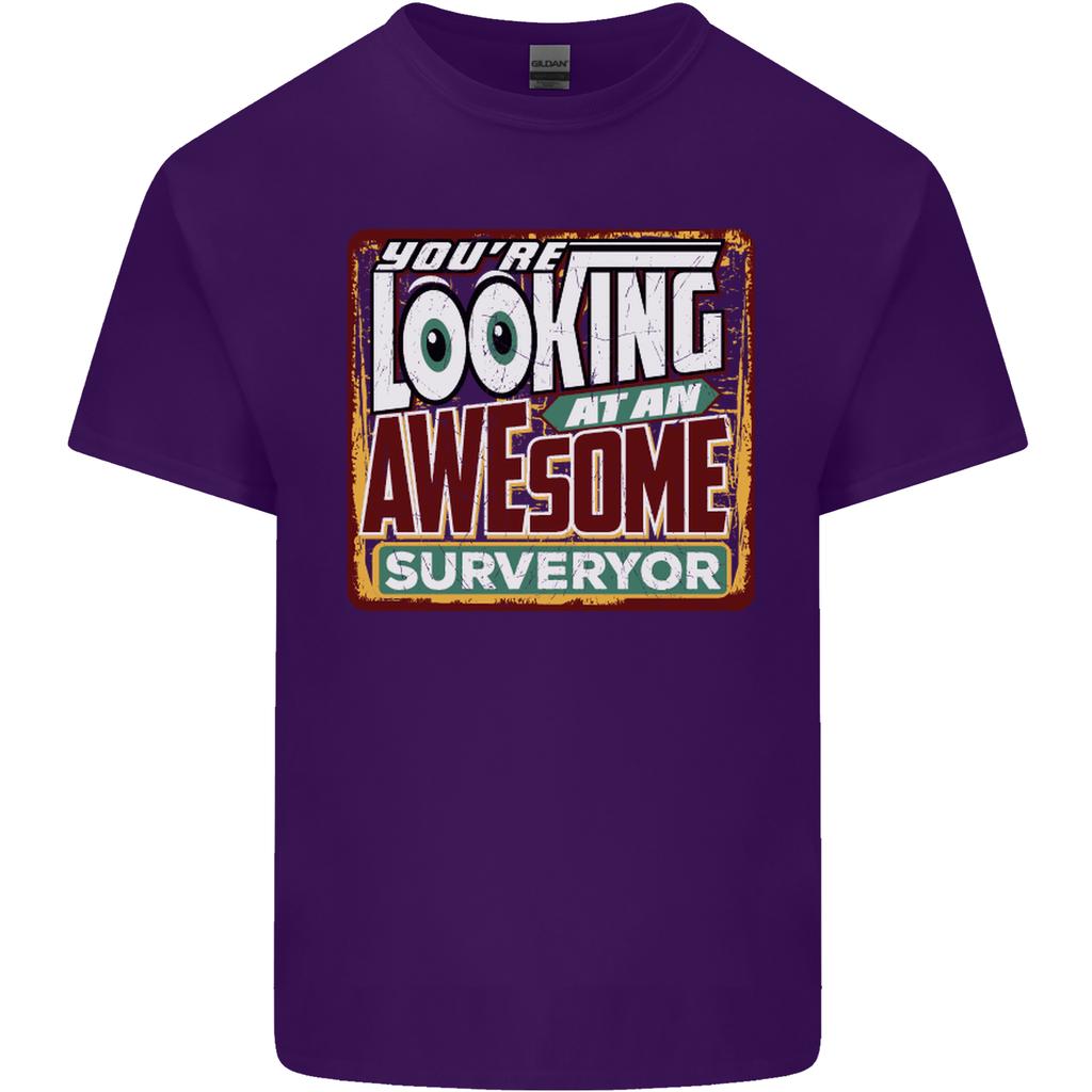 Youre Looking At an Awesome Surveyor Unisexs Light Cotton TShirt