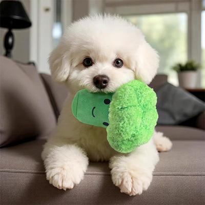 Plush Vegetable Dog Toy Squeaky Broccoli Eggplant Dog Chew Toy Cute Stuffed Scallion Chili Pepper for Puppy Teething Interactive Play