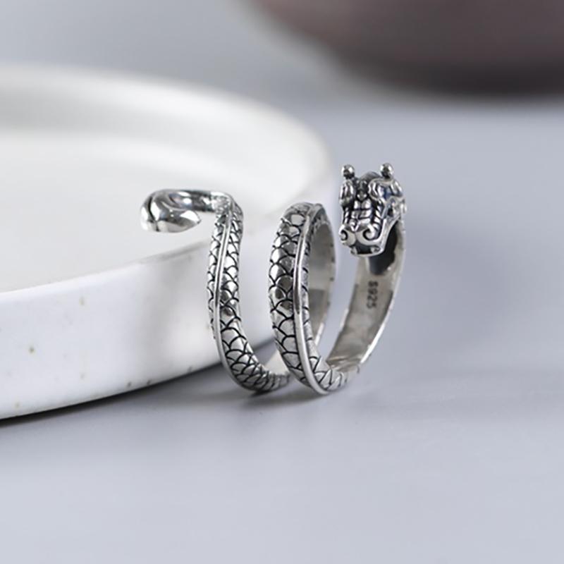 foxanry Geometrischer Drache-Ring für Damen und Herren, übertriebene Persönlichkeit, Hip-Hop-Party, Schmuck, Accessoires, Geschenke