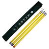 Telescopic High-Voltage Insulating Pull Rod