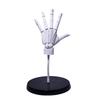 Highly Articulated 1/1 Scale Hand Model, Left & Right Hands, Jointed Anatomical Sculpture for Art Drawing Reference Anime Figure