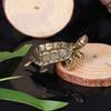Pure Copper Turtle Statue Vintage Brass Tortoise Figurines Desktop Feng Shui Ornament Miniatures Antique Tea Pet Crafts Gifts