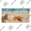 Putuo Decor Beach Licenses Plate Vintage Tin Sign Plaque Metal Car Plate for Living Room Door House Home Wall Art Decor