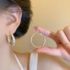Minimalist Silver Needle Hoop Earrings - Light Luxury, Versatile, Women's High-End Metal Circle for Everyday Wear