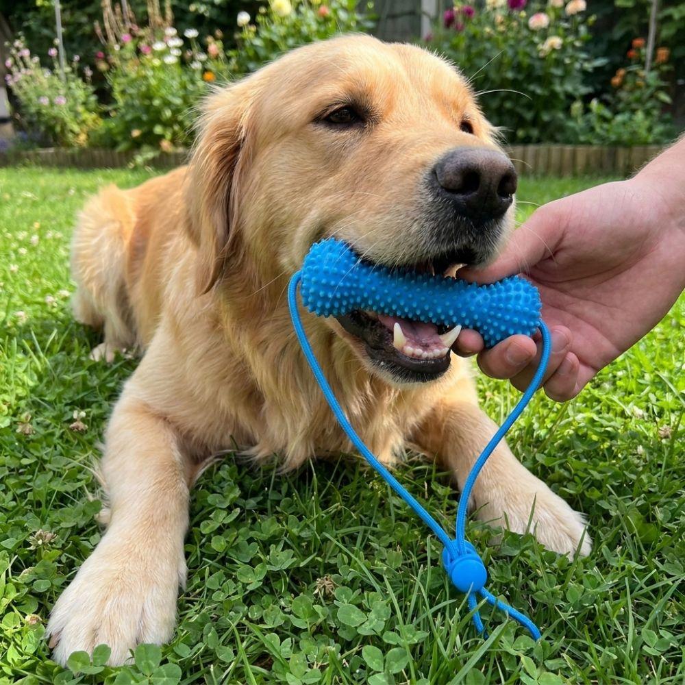 Anti-choking Dog Teething Stick Bite-Resistant Interactive Dog Toy Dog Chew Stick Teeth Cleaning