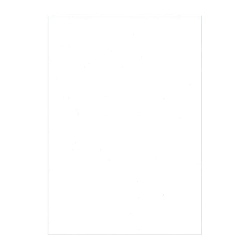 Sakura Crepas Study Book, Free Book, Plain White, B5, Yusuke Yonezu Design, Polar Bear, 3 Books, NP80(3)