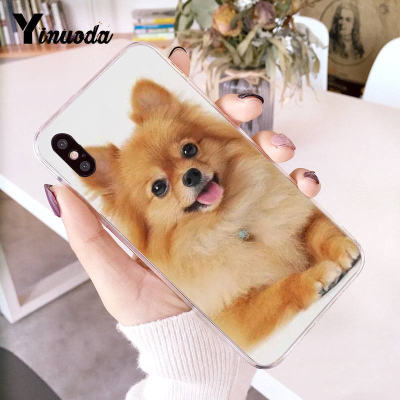 Yinuoda Pomeranian Dogs Dog Colorful Cute Phone Case for Iphone 13 8 7 6 6S Plus X 10 5 5S SE XR XS XSMAX11 11pro 11promax