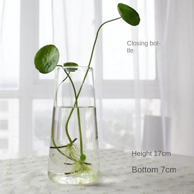 Simple Transparent Hydroponic Vase Flower Arrangement Home Furnishing Decoration Glass Vase Ornamental Horticulture
