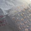 Jelly Butterfly 5D Nail Art Sticker Rhinestone Crystal Charming Shiny Insect Animals DIY Self Adhesive Decoration Manicure Decal