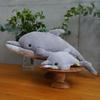 Plush Toy S Dolphin GY Fluffy's