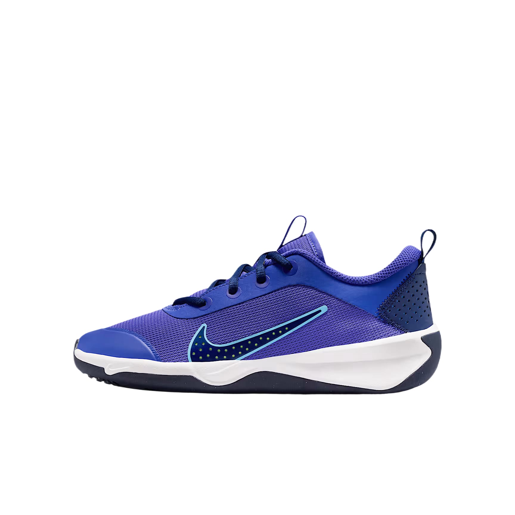 Nike Omni Multi Court Low top