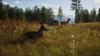 Way of the Hunter North PS5 (Import America) -
