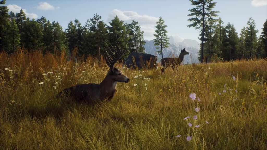 Way of the Hunter North PS5 (Import America) -