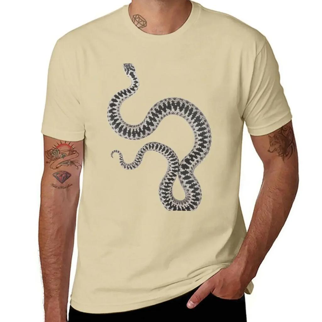 Vipera Berus Berus, Male T-Shirt New Edition Heavyweights Customs Design Your Own T Shirts for Men Graphic