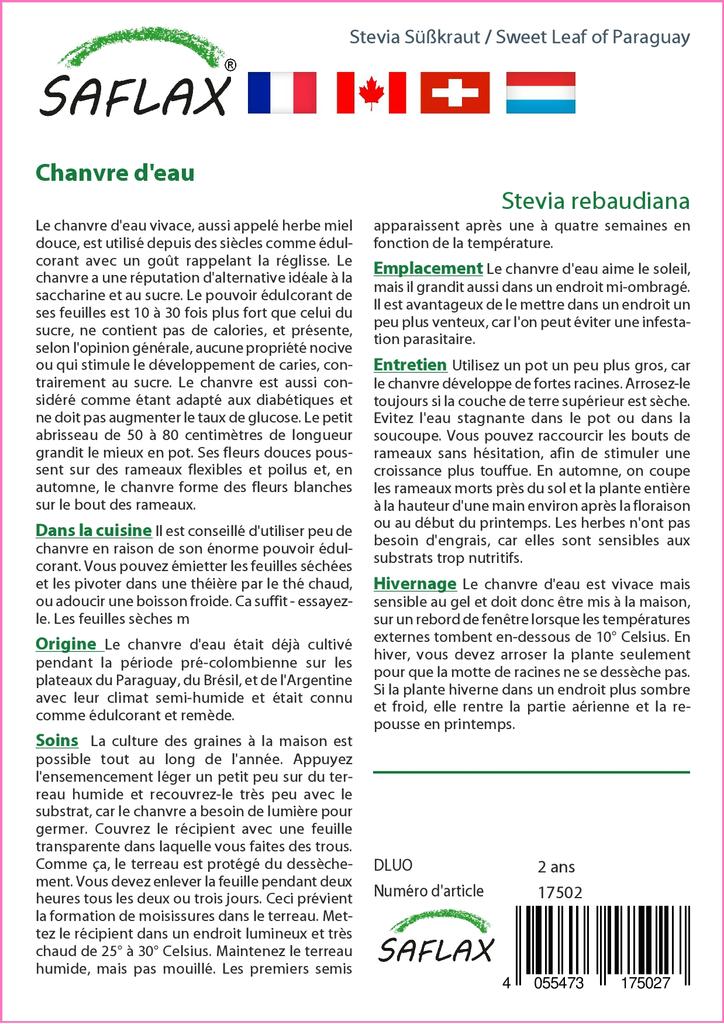 SAFLAX Sweet Leaf of Paraguay - 100 semen - Se substrátem pro lepší pěstování - Stevia rebaudiana