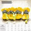 Teddy Dog & Puppy Non-slip Rain Boots - Cute Pet Shoes for Walking