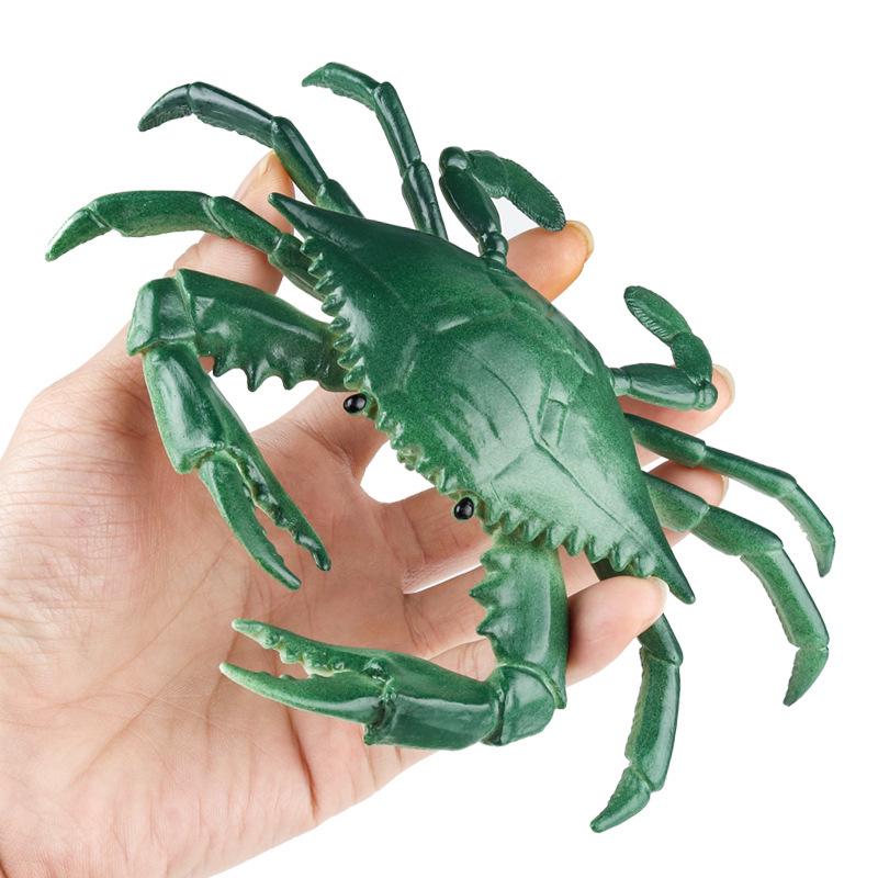 Marine Animal Simulation Model Figures: Shark, Dolphin, Hammerhead, Crab, Squid, Starfish for Kids' Education