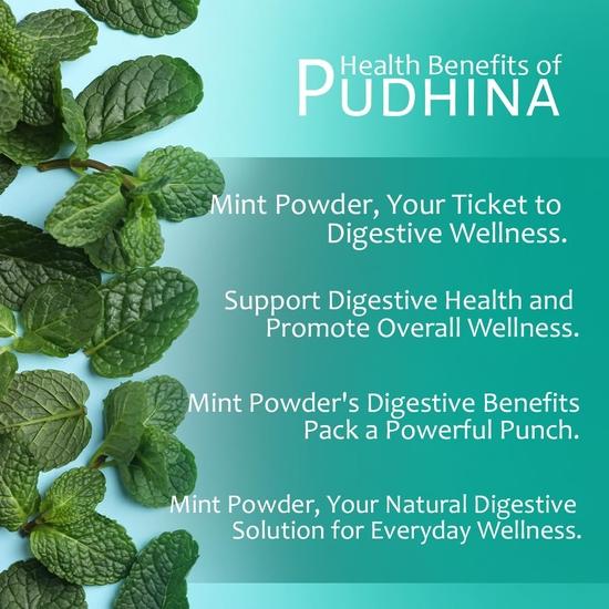 Chounk Pure And Natural Mint Powder | Pudina Powder with No Added Flavors & No Preservatives  - 200 Grams (100 Grams X Pack of 2)